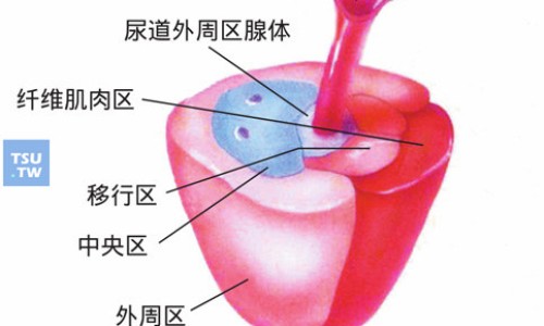乳安胶囊的作用-乳安胶囊说明书网 - 乳安胶囊最忌三种东西,乳安胶囊说明书